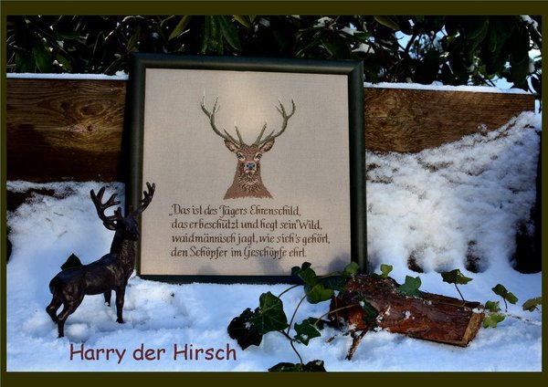 Harry der Hirsch